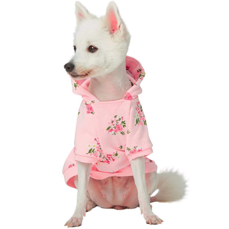 [Australia] - Blueberry Pet 2020 New Dog Coat - 9 Patterns Dog Sweatshirt / 4 Patterns All-Weather Dog Poncho Back Length 12" Sweatshirt - Baby Pink 