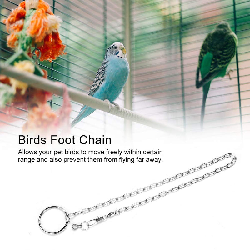 ViaGasaFamido Bird Leash, Stainless Steel Bird Foot Chain with Ring Parrot Ankle Foot Ring Anti-bite Outdoor Flying Training Rope(petit soleil) petit soleil - PawsPlanet Australia