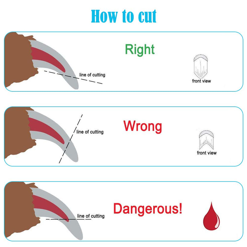 Cosswe Professional Dog Nail Clippers and Trimmers with-Protective Guard to Avoid Over-Cutting Nails Cat Nail Trimmer with Non Slip Handle for Cleaning and Beauty - PawsPlanet Australia