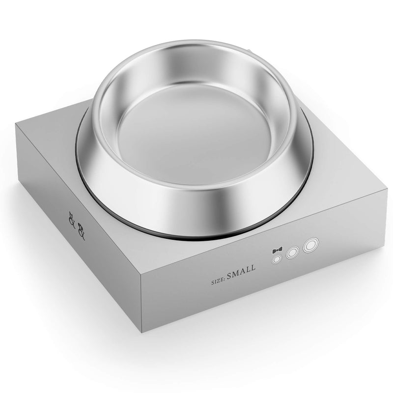 Feeder Stainless Steel Bowl Dog Bowl, Water Bowl Food Bowl For Dogs and Cats, Non Tip Slip Rubber Bottom (Medium) Medium - PawsPlanet Australia