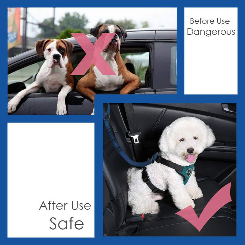 [Australia] - AutoWT Dog Seatbelt, 2 Pack Pet Car Seatbelt Headrest Restraint Adjustable Puppy Safety Seat Belt with Elastic Bungee and Reflective Stripe Connect with Dog Harness Light Blue 