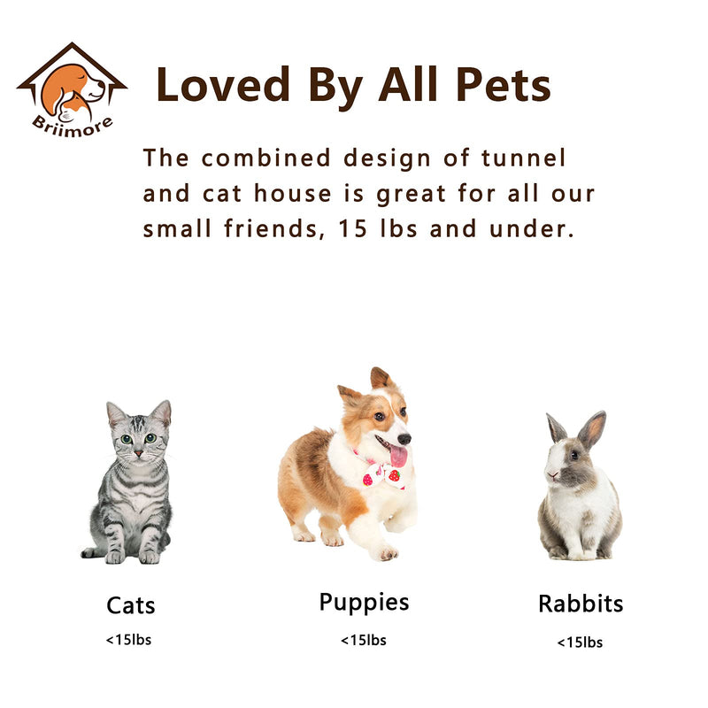 Cat Tunnel Toy and Cubes Combo, Cat Tunnels for Indoor Cats with Play Ball, Interactive Crinkle Collapsible Tent and Cubes, Cat Tube for Puppy Pet Rabbit - All in One Set of 3 (Rainbow) (Rainbow) - PawsPlanet Australia