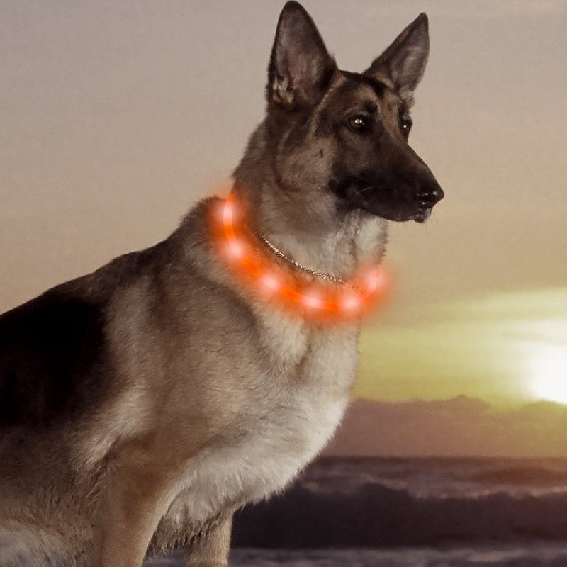 [Australia] - HiGuard LED Dog Collar, USB Rechargeable Glowing Pet Safety Collars, Adjustable Water-Resistant Flashing Light Up Necklace Collar Make Your Dogs High Visible & Safe in the Dark (1 Pack-Orange) 