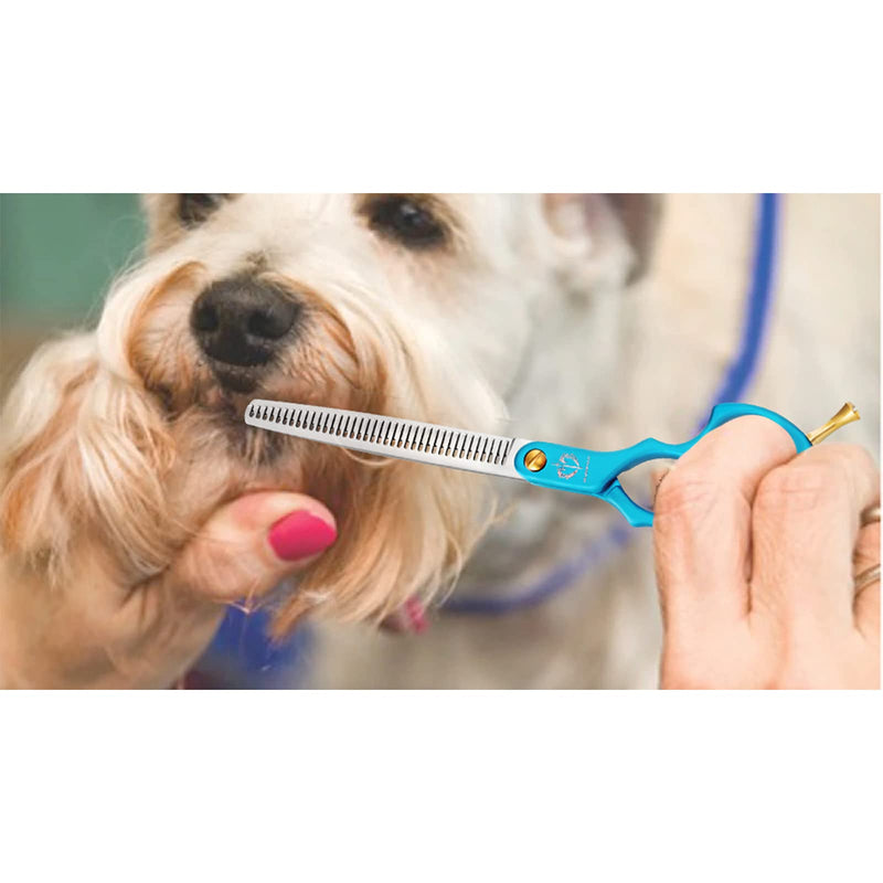 DRAGON RIOT 6.5" Professional Dog Thinning Grooming Scissors Razor Sharp Pet Hair Thinning Shear Ultra Lightweight Grooming Shear for Dogs and Cats (Thinning) C.Thinning Shear - PawsPlanet Australia