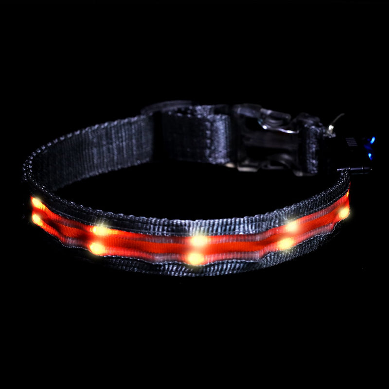 Hongfox LED Dog Collar - USB Rechargeable 3 Sizes - Makes Your Dog Visible, Safe & Seen (Medium (42cm - 48cm / 16.8" - 19.2"), Orange) Medium ( 42cm - 48cm / 16.8" - 19.2" ) - PawsPlanet Australia