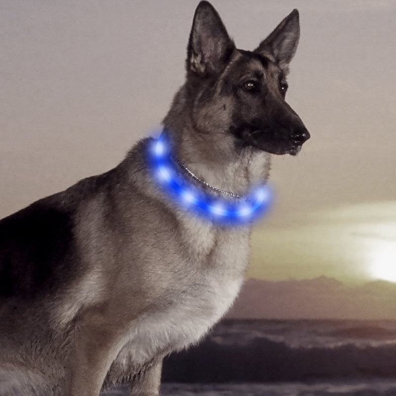 [Australia] - HiGuard LED Dog Collar, USB Rechargeable Glowing Pet Safety Collars, Adjustable Water-Resistant Flashing Light Up Necklace Collar Make Your Dogs High Visible & Safe in the Dark (1Pack-Blue) 