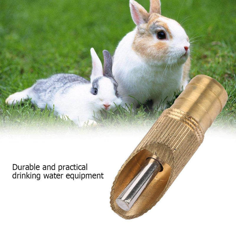 Fdit 10pcs/ Set Water Bottles for Rabbit Bunny Stainless Steel Automatic Nipple Waterer for Rabbit Rat Ferrets(Round) Round - PawsPlanet Australia