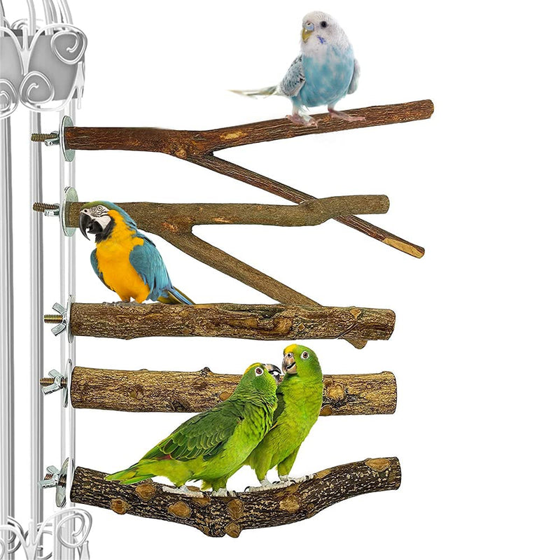 Gobesty Bird Perch Stand, Bird Cage Accessories, 5 PCS Bird Parrot Perches, Natural Wood Parrot Perch Bird Cage Branch for Parakeets Cockatiels Conures Macaws Finches Love Birds - PawsPlanet Australia