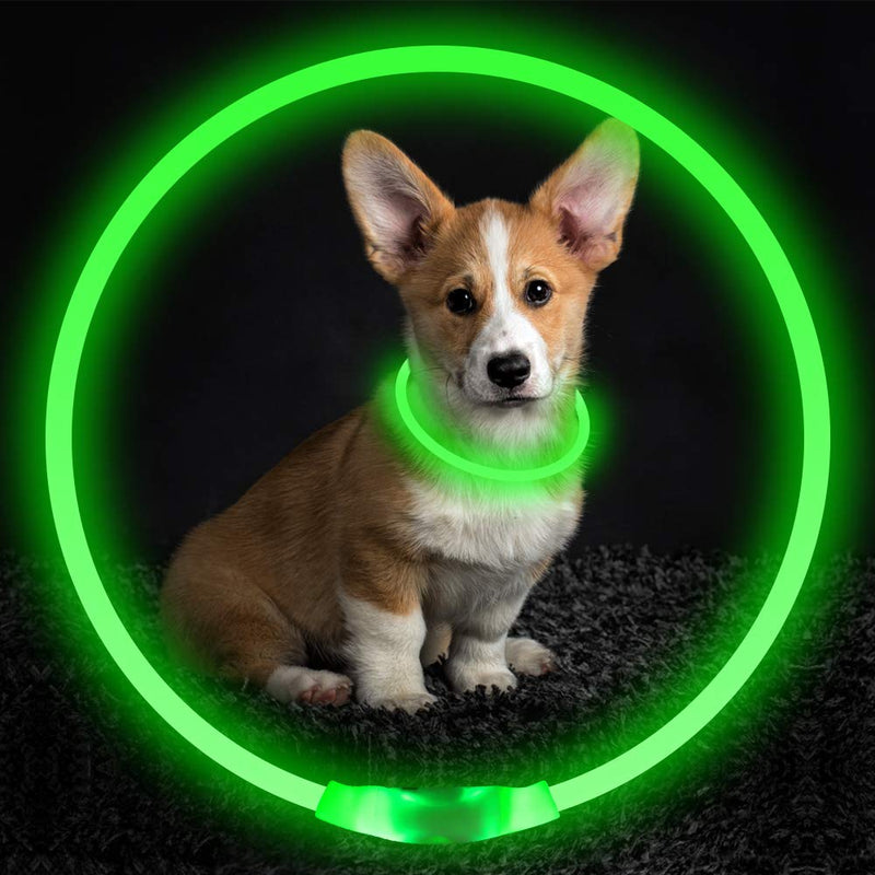 [Australia] - BSEEN LED Dog Collar, USB Rechargeable, Glowing Pet Dog Collar for Night Safety, Fashion Light up Collar for Small Medium Large dogs Green 
