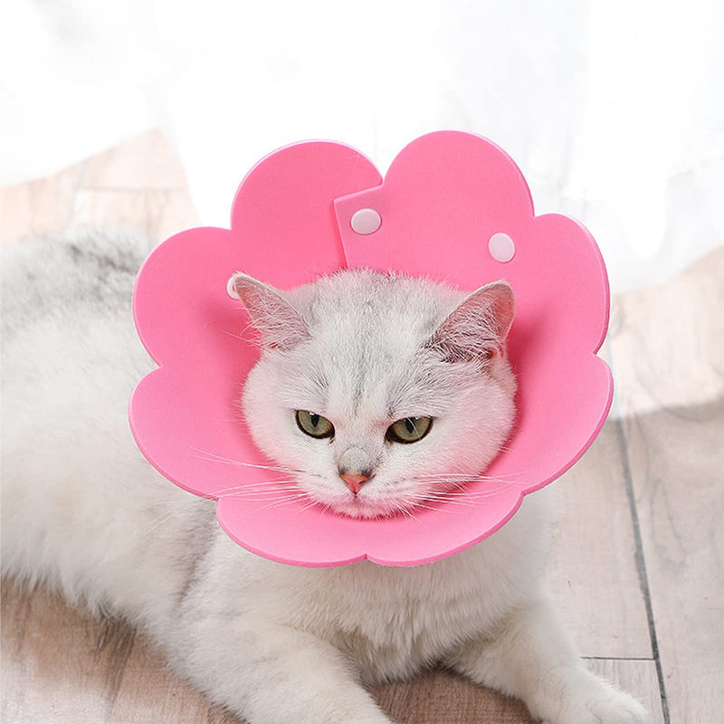 Qixuer Cat Neck Collar, Pack of 4 Protective Collar Cat Collar Pink and Blue Cat Collar Protectors Are Used to Prevent Injuries Caused by Licking Wounds After Surgery - PawsPlanet Australia