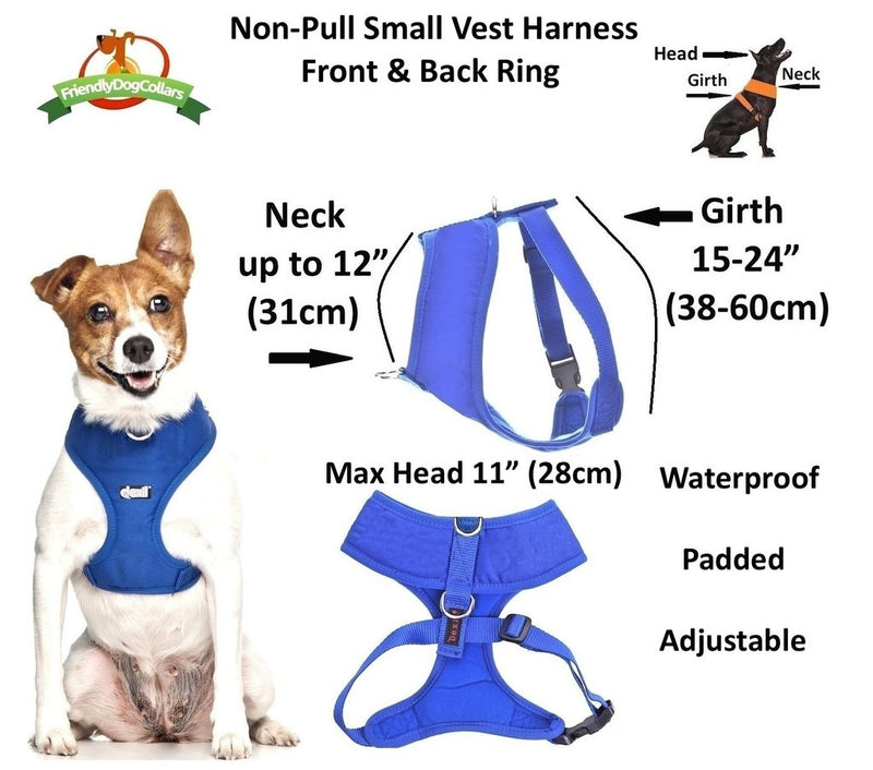 Dexil Elite Range Padded Waterproof Adjustable Back and Front Ring Non-Pull Small Pet Dog Vest Harness (Royal Blue, Small 36-58cm Chest) Royal Blue - PawsPlanet Australia