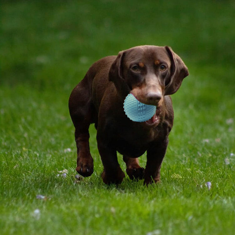 PIPETPET Dog Squeaky Balls Dog Toys High Elastic Natural Rubber Balls(2.56"),Self-Entertainment,Throwing Interaction for Indoor and Outdoor ,Floating Fetch Toy for Water Play 2*Balls(Blue) - PawsPlanet Australia