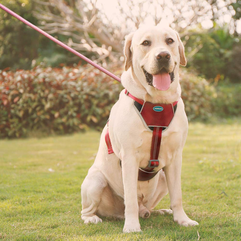 [Australia] - ThinkPet No Pull Outdoor Vest Harness - Reflective Dog Vest Neoprene Padded Dog Sport Harness M Red 