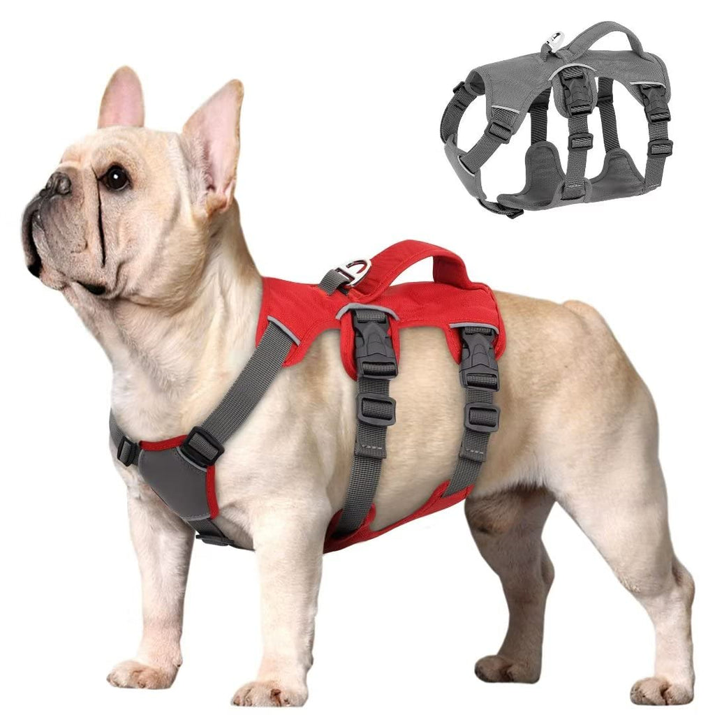 Beirui Escape Proof Dog Harness for Small Medium Dogs, Reflective Dog Harness No Pull with Padded Handle, Waterproof Dog Harness for Daily Walking Training (Red,Chest 10-16‚Äù) XXS: Chest 10-16‚Äù,Neck 9-12‚Äù Red - PawsPlanet Australia