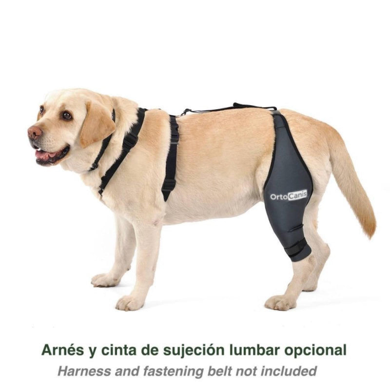 Ortocanis - knee support for dogs with cruciate ligament injuries, patellar luxation or osteoarthritis, size XXS, left leg size XX-Small - PawsPlanet Australia