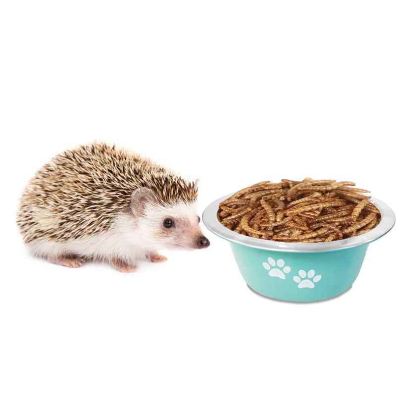 YUDANSI 2 Pack Bowls for Small Animal Feeding, Food and Water Bowls with Non-Slip Silicone Soles, Stainless Steel Small Pet Feeder Bowls Dishes for Rabbit, Hedgehog... (14 FL OZ) - PawsPlanet Australia