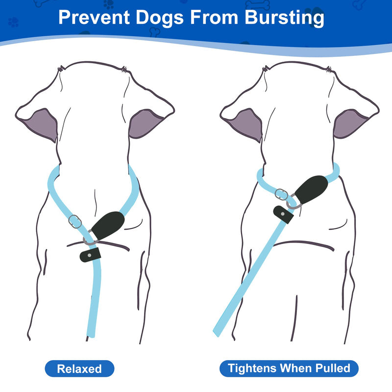Strong dog leash 1.8m adjustable training leash for large dogs with comfortable padded handle for training and walking - PawsPlanet Australia