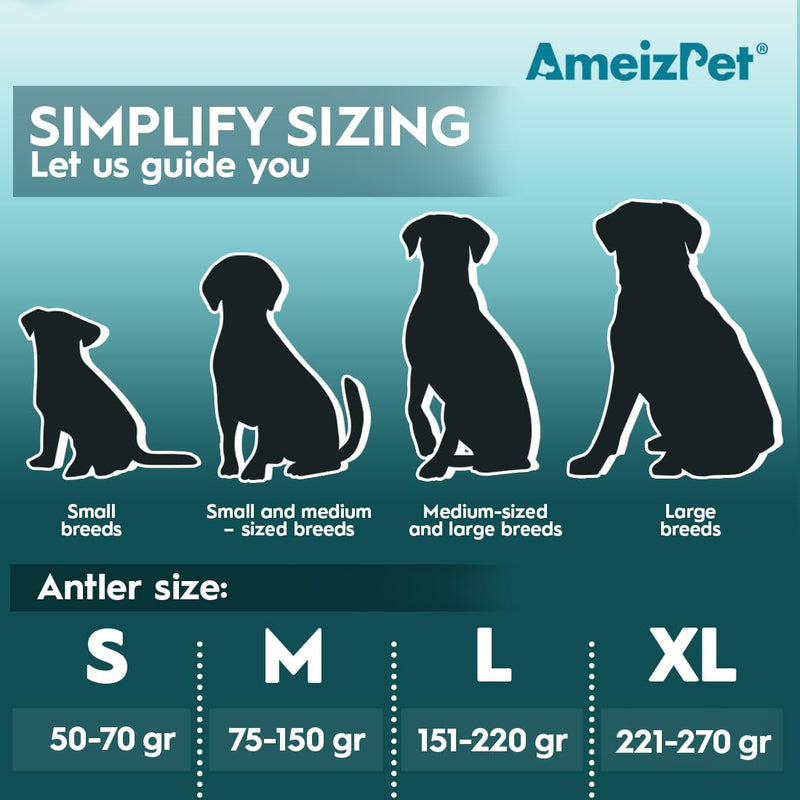 AmeizPet Antlers for dogs, natural, durable dog chew bone, deer chew bone for the dog, deer antler, long-lasting - 1 piece M size M size 1 pc - PawsPlanet Australia