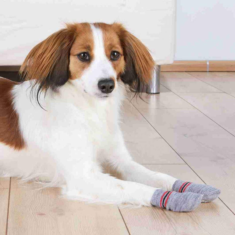 Trixie Hundesocken, Anti-Rutsch, M–L, 2 St., grau Medium-Large - PawsPlanet Australia