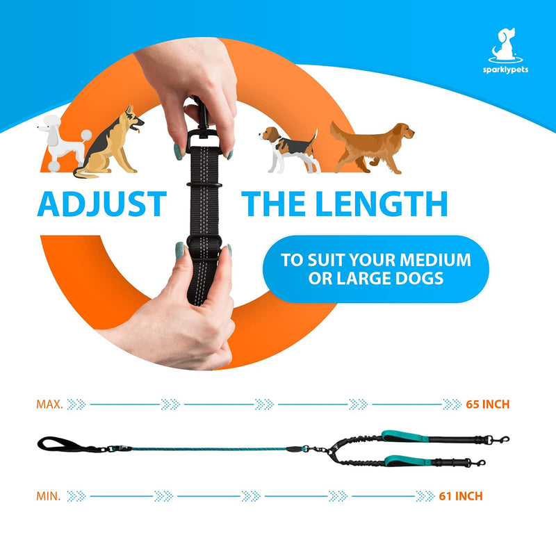 Dog leash for 2 dogs with bungee extension for large and medium-sized dogs with shock absorber | Reflective Elastic Dog Leash for Walking Teal For Two Dogs - PawsPlanet Australia