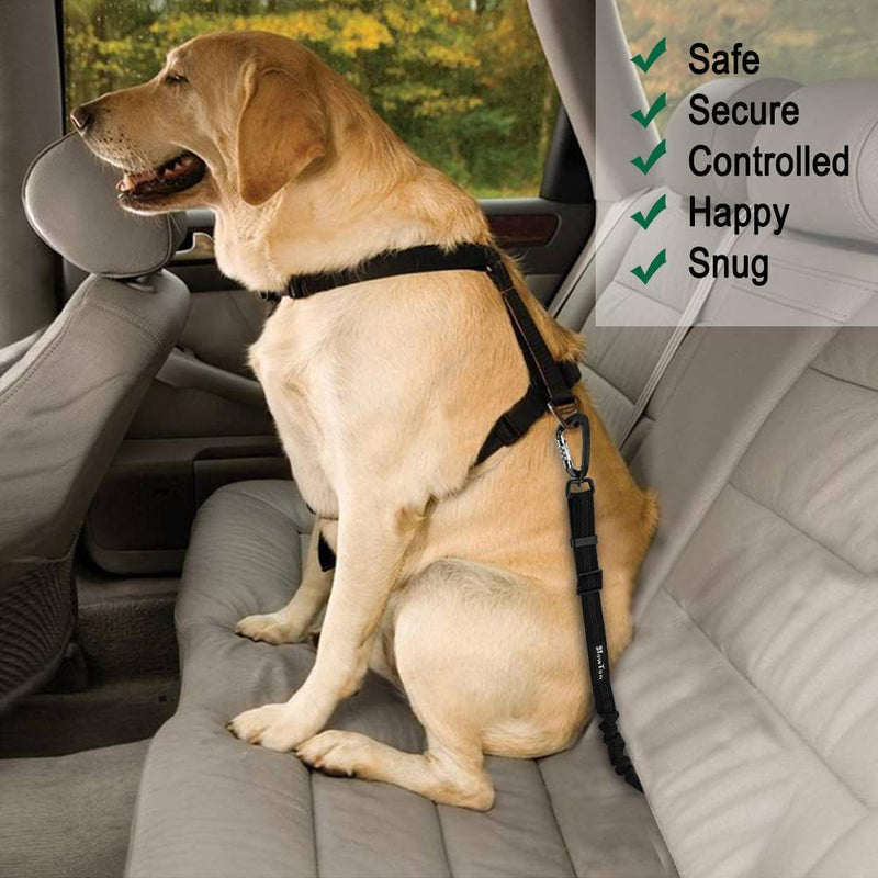 SlowTon Dog Seatbelt, Pet Car Seat Belt Latch Bar Attachment Lockable Swivel Carabiner for Small Medium Large Dogs Adjustable Elastic Bungee Safety Belt with Reflective Stitching Connect Harness Black - PawsPlanet Australia