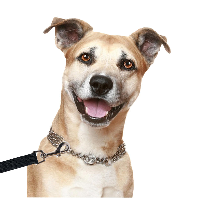 StarJoy Tow Lead for Dogs 5M 10M 15M Long Dog Lead Training Lead for Small Medium Large Dogs (5m) - PawsPlanet Australia