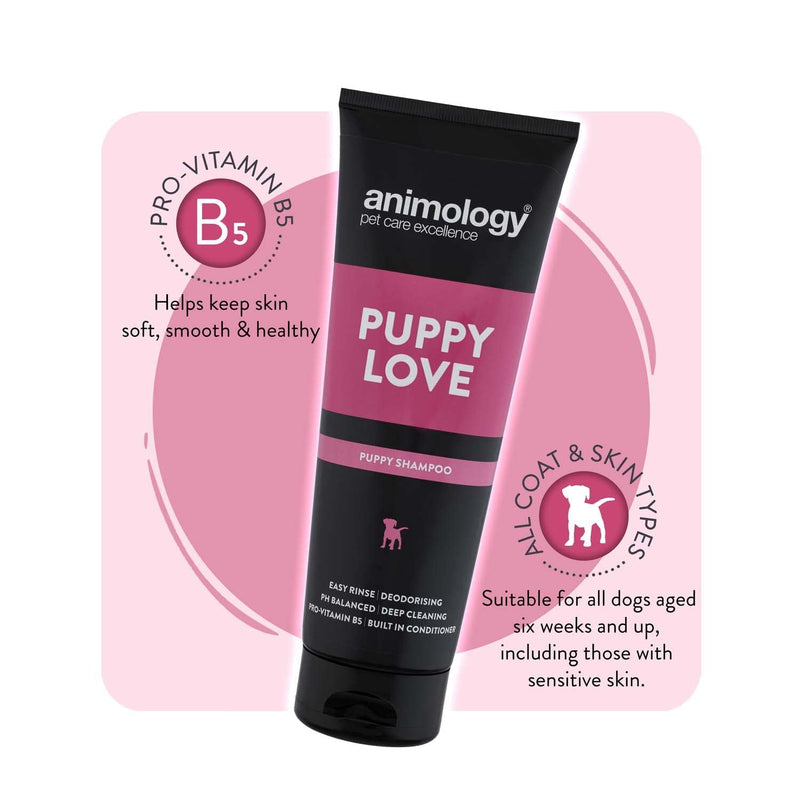 Animology Puppy Love Shampoo | For Healthy Well Developed Puppy Coat | Easy Rinse Formula | Balanced pH and Deep Cleaning Effect for Sensitive Skin | Built in Conditioner | 250ml pack of 2 250ml (Pack of 2) - PawsPlanet Australia