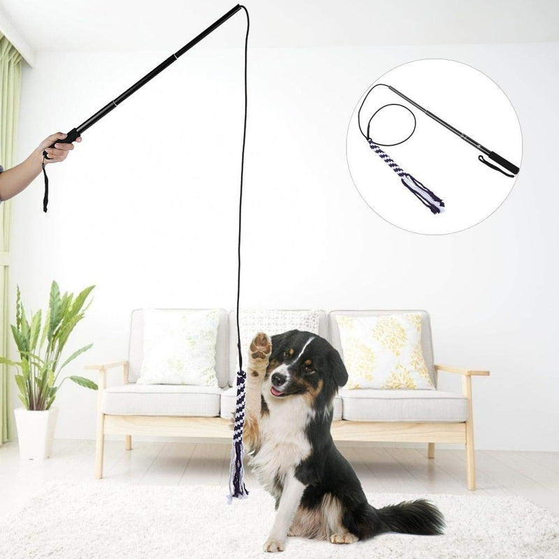 Extendable Durable Teaser Wand Dog Toy Stick Flirt Fishing Pole for Dogs Training - PawsPlanet Australia