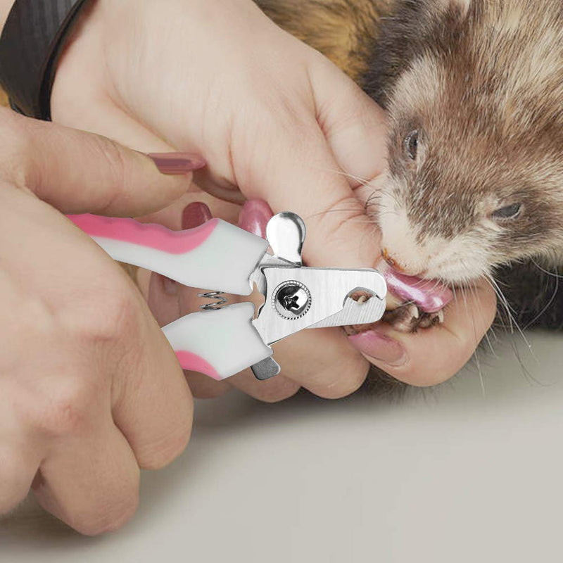 Small Pet Nail Clipper Dog Nail Clippers with Safety Guard Stainless Steel Animal Claws Cutter Set Nails Clippers Care for Cat Rabbit Guinea Pig Bird Small Dog with 2Pcs Silicone Pet Finger Toothbrush Pink - PawsPlanet Australia
