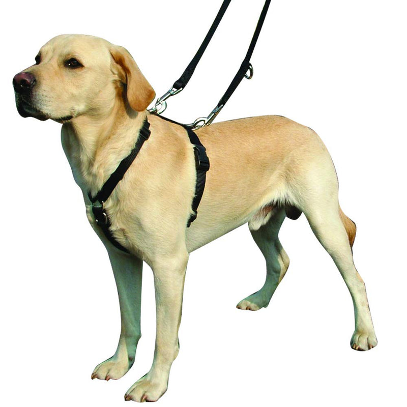 Kumfi Canine Kumfi complete harness size. L Black - PawsPlanet Australia
