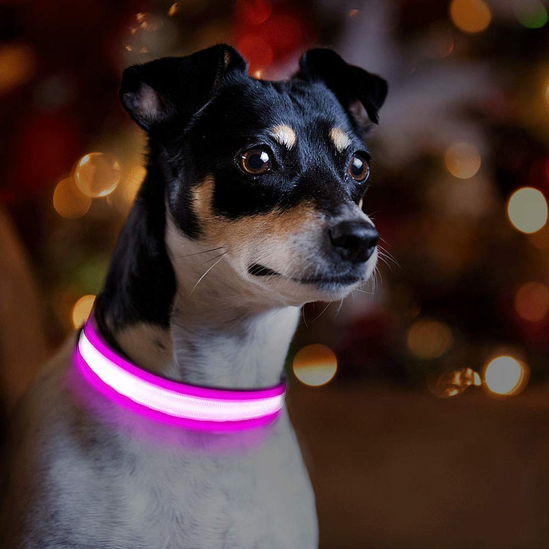 PcEoTllar LED Dog Collar Rechargeable Waterproof 7 Color Change Light Up Dog Collars Super Bright Night Safety High Visibility 10H Working Time for Small Medium Large Dogs - Pink -S S(40cm,2.5cm) - PawsPlanet Australia