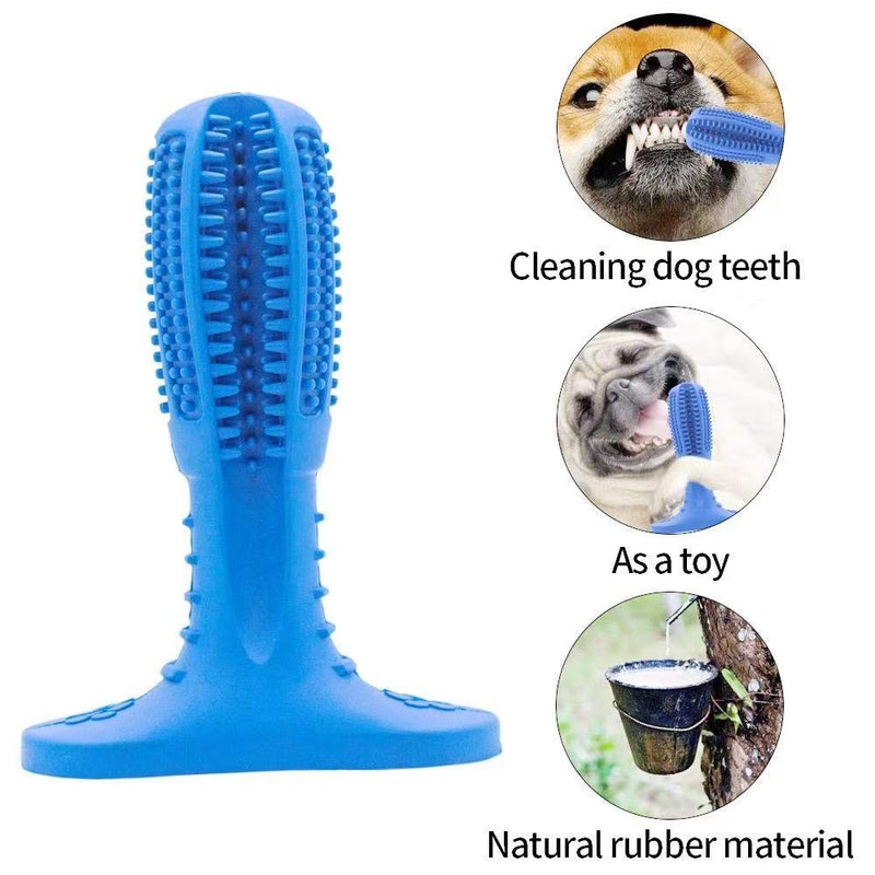 Happy Fox Dog Toothbrush Sticks, Durable Natural Rubber Dog toothbrushing Sticks to Prevent Tooth Bites, Teeth Cleaning Chews for Medium and Large Dogs, Dog Teeth Cleaning Massager (Green) Blue - PawsPlanet Australia