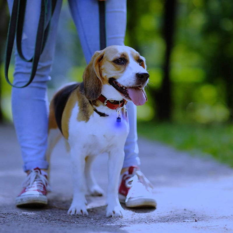 [Australia] - Flipo Group Pet Blinkers Clip-On LED Safety Light, Blinking LED Color Changing Pet Collar Safety Lights, Safety Lights for Dogs and Cats, Batteries Included Small Breed Blue/White LED 