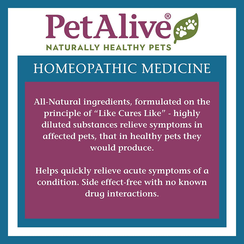 PetAlive Allergy Itch EaseTM Granules - PawsPlanet Australia