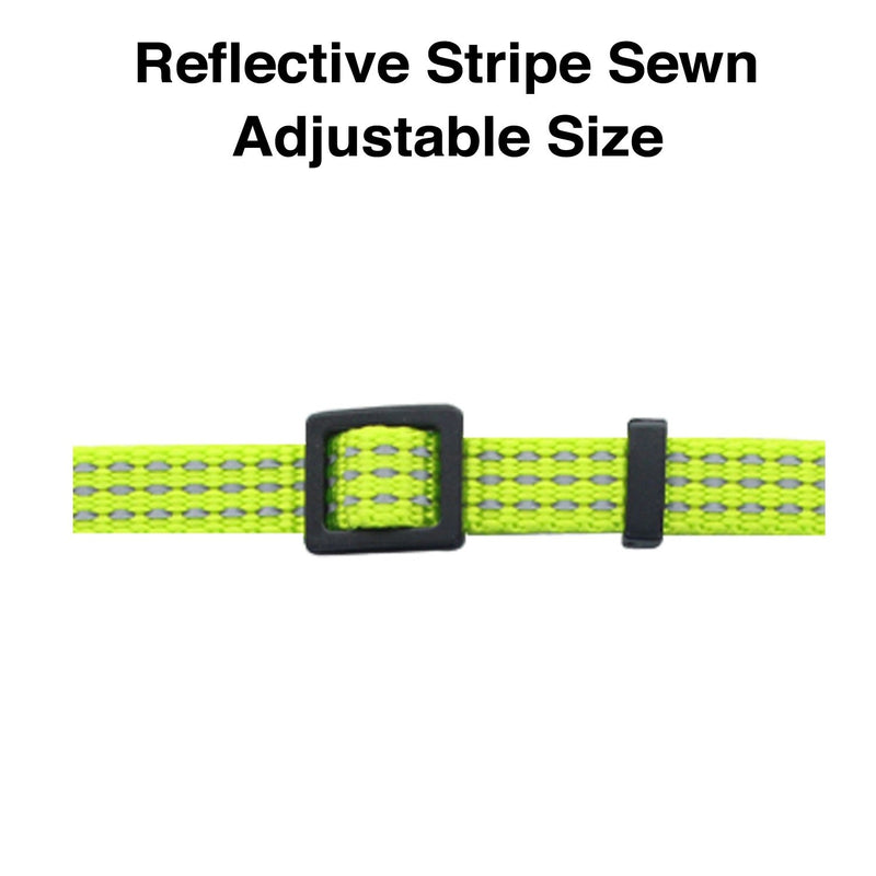 [Australia] - Pawtitas Reflective Cat Collar Safety Buckle Removable Bell Cat Collar Kitten Collar Cat Collar Green 