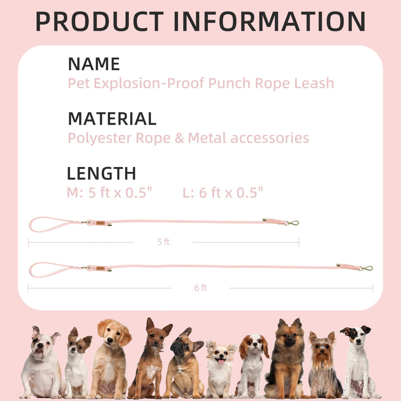 Wisedog Polyester Rope Dog Leash Heavy Duty with Soft Comfortable Padded Handle, Durable Stylish Braided Pet Leash 5 Ft/6 Ft for Small Medium Large Dogs (Gossamer Pink, M|5 ft x 0.5") M|5 ft x 0.5" Gossamer Pink - PawsPlanet Australia