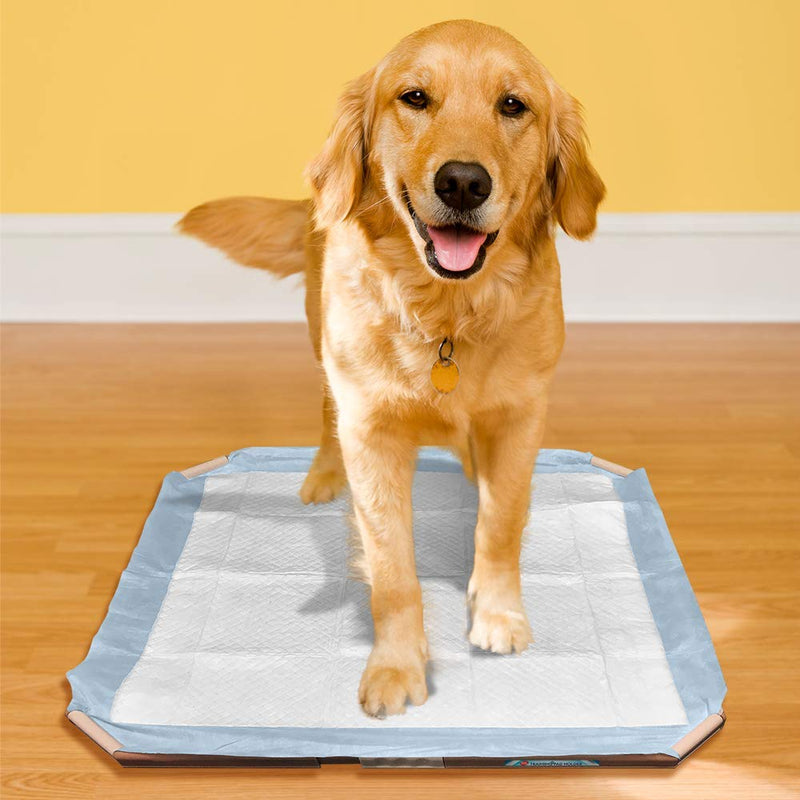 [Australia] - Simple Solution Dog Pad Holder | Portable Tray for Pet Training and Puppy Pads | Protection Against Pad Leakage, Bunching, and Shredding | Fits Pads 21 x 21 Inches or Larger 