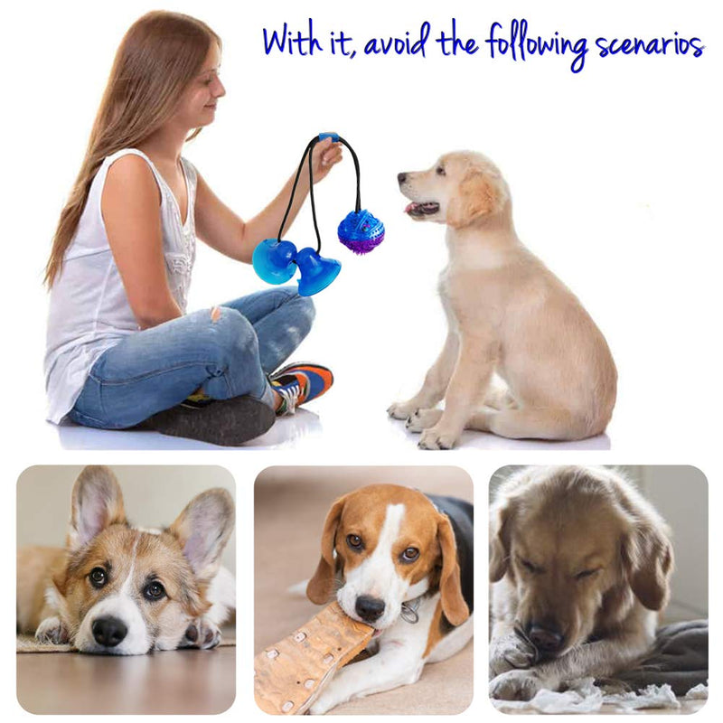 QPQEQTQ Upgrade Suction Cup Dog Toy Dog Chew Toys Interactive Dog Toys Dog Teeth Cleaning Toys Pet Molar Bite Toy Dog Squeaky Tug Toy for Dogs Non-Toxic & Durable Dog Toys Fit<80lb Dog B-Purple - PawsPlanet Australia