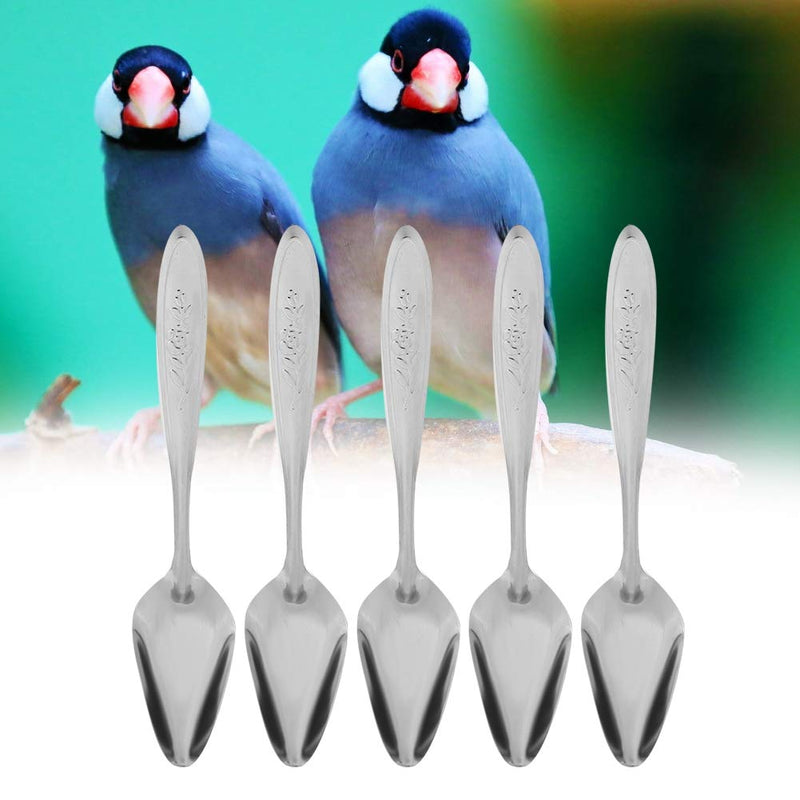 Bird Feeding Spoon, 5Pcs Stainless Steel Metal Special Parrot Milk Spoons for Peony Cockatiel - PawsPlanet Australia