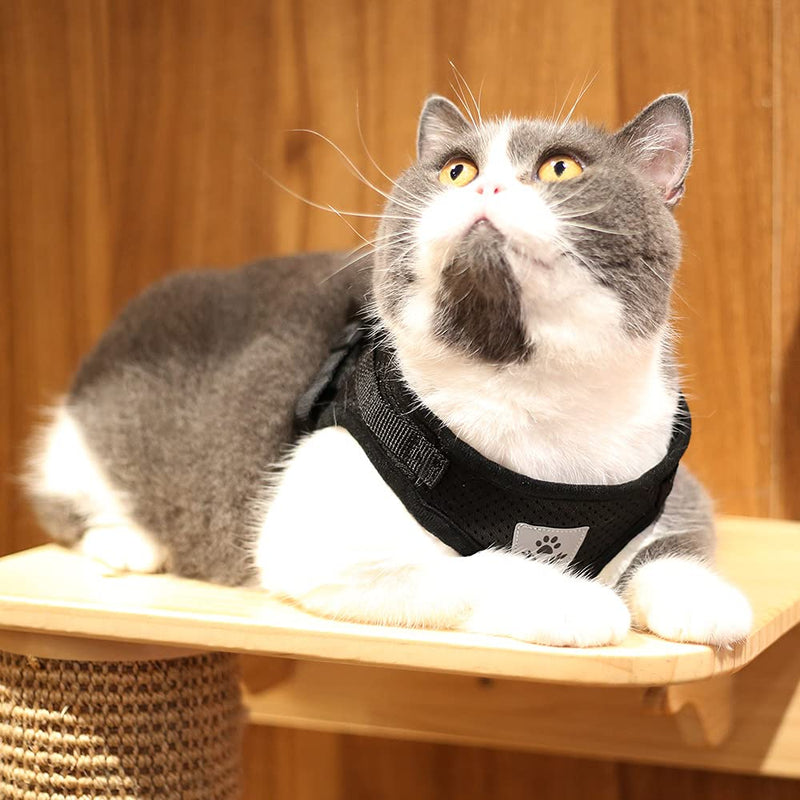 MYKOMI Comfort Step-in Cat Harness and Leash Set for Puppies Cats Kitty Escape Proof Pet Vest Harnesses for Small Animals Rabbit/Mouse/Cats (Small, Black) - PawsPlanet Australia