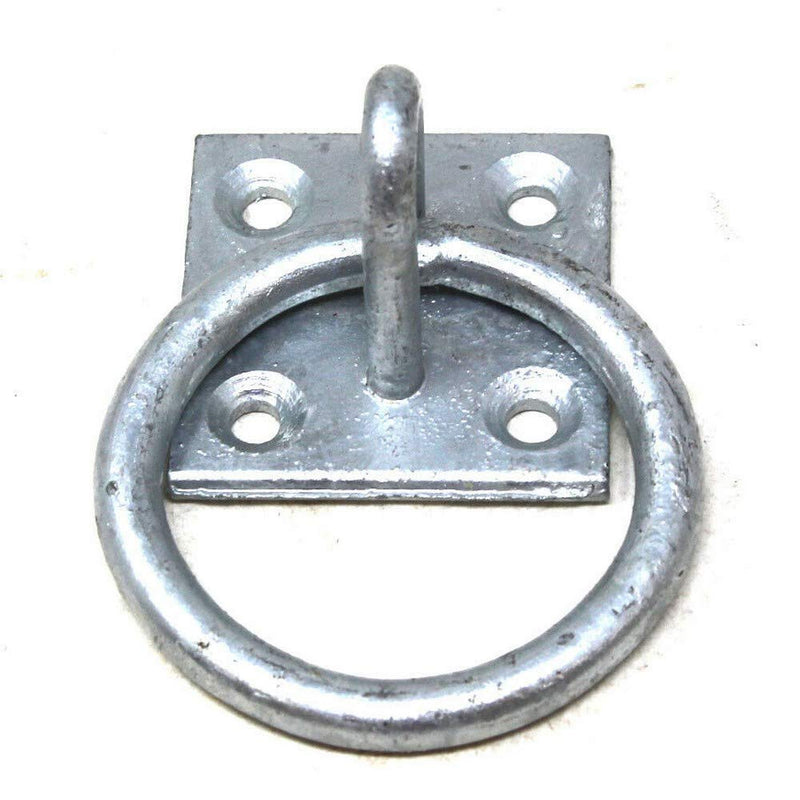 Perry Equestrian Coloured Tie Ring on 50mm Plate Stable Horse Pony Tie Up Ring (Galvanised) Galvanised - PawsPlanet Australia