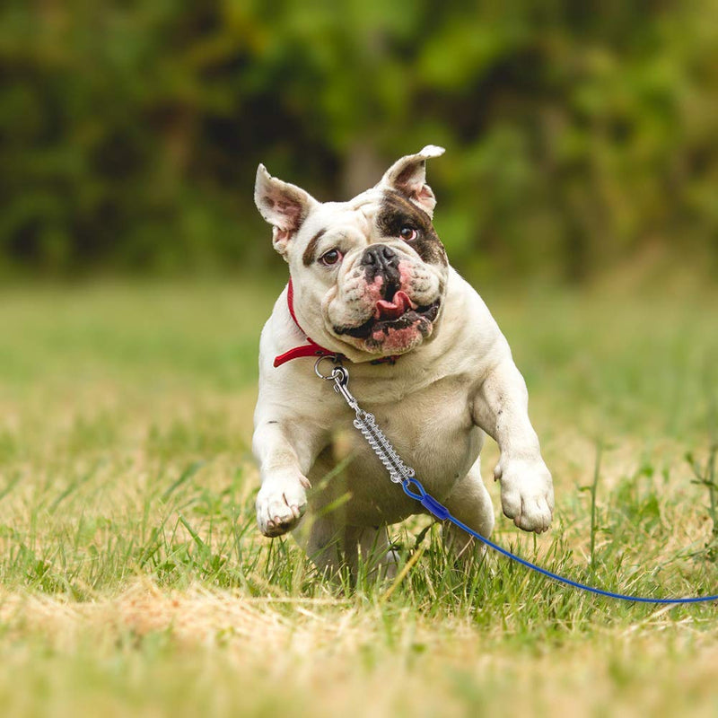 Petbobi 20 ft/ 30 ft Tie Out Cable for Dog with Durable Spring and Metal Swivel Hooks for Outdoor, Yard and Camping, Rust- Proof Training Tether for Small to Medium Dogs Up to 35/ 120 Pounds, Blue 20ft / 35lbs - PawsPlanet Australia