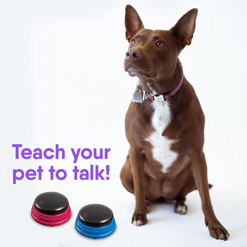 Hunger for Words Talking Pet Starter Set - 4 Piece Set Recordable Buttons for Dogs, Talking Dog Buttons, Teach Your Dog to Talk, Talking Pet, Dog Training Games - PawsPlanet Australia