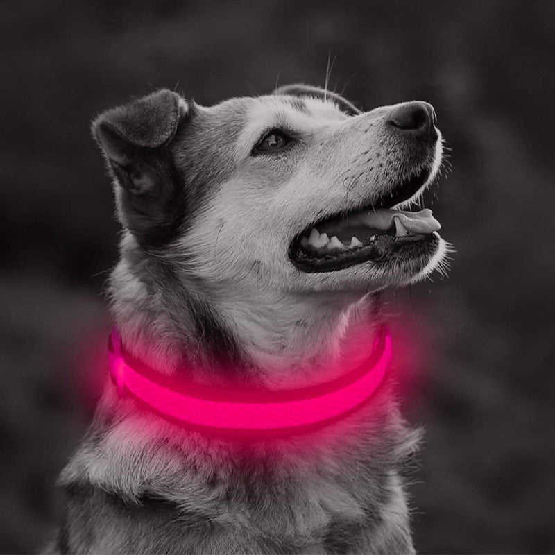 [Australia] - Clan-x LED Dog Collar, USB Rechargeable Light Up Collars, Adjustable Mesh Webbing Reflective Dog Collar for Your Small Medium Large Dogs Large [16.9-25.6inch/43-65cm] Pink 