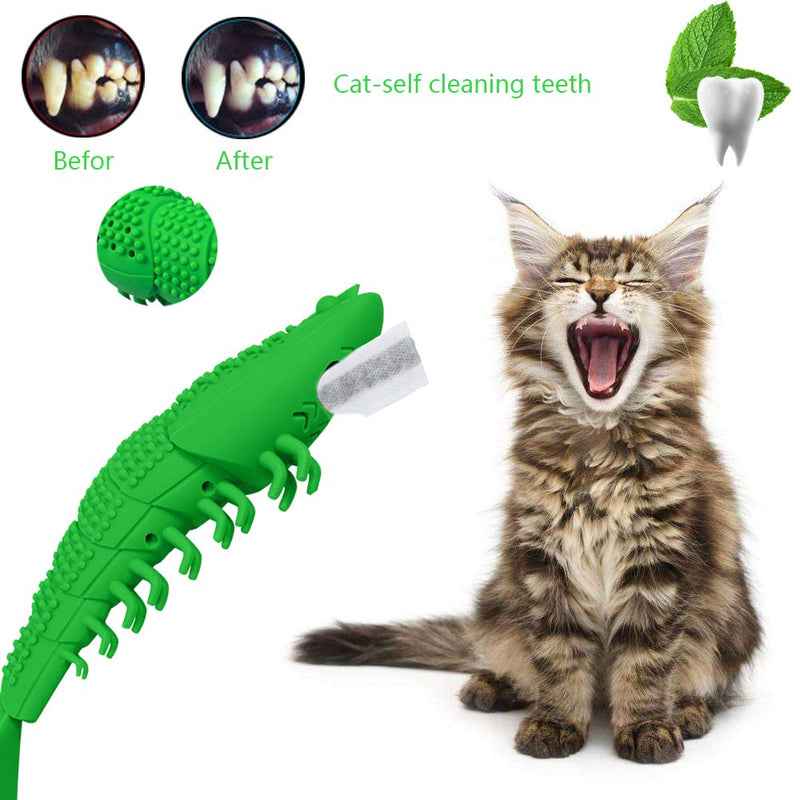 [Australia] - Orisignall Kitten Teething Toys Catnip Toy Cat Toothbrush Durable Hard Rubber Cat Dental Care Refillable Interactive Cat Toys,Cat Interactive Toothbrush Chew Toy,Catnip Kitten Teaser Toy with Bell 