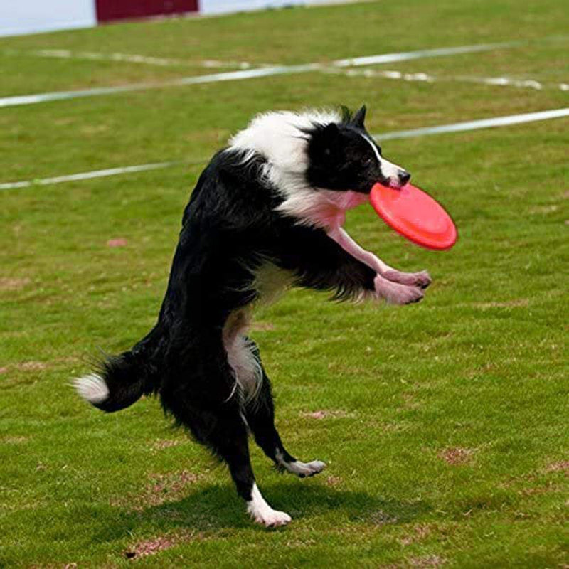 Frisbees for Dogs,Red Tossing Toys Durable Rubber for Most Size Dog Puppy 7Inch - PawsPlanet Australia