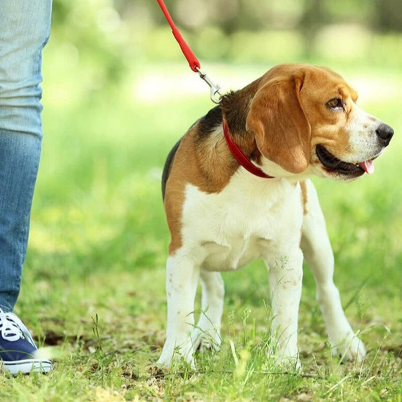 WEIESCIE Adjustable Double Pet Trainer Leash No Tangle Double Dog Double Distributor Leash Walking Trainer Leash for Two Dogs - PawsPlanet Australia