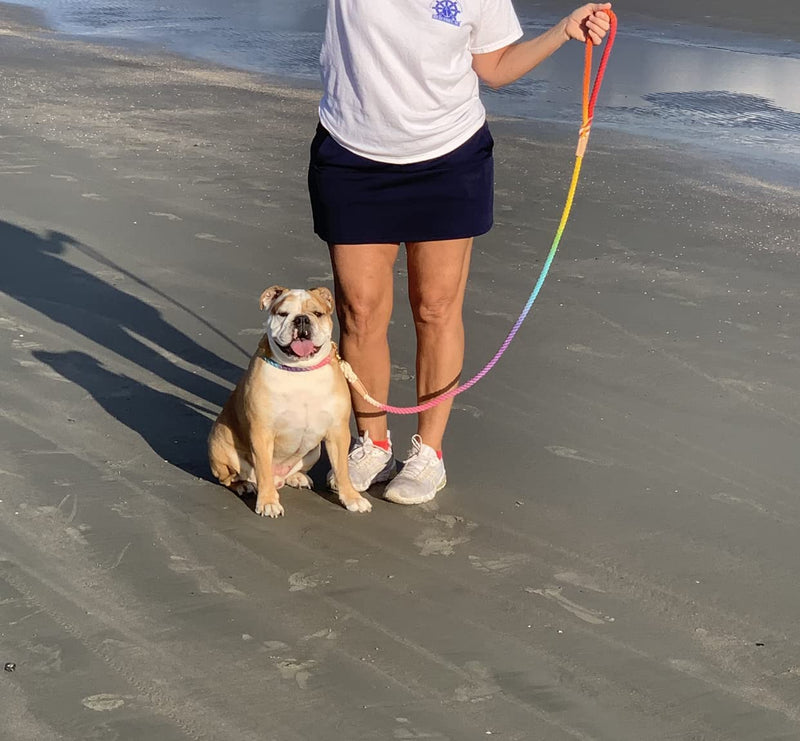 BULPET Eco Friendly Organic Cotton Durable Dog Ombre Rainbow Rope Leash with Brown Leather and Gold Brass Hardware / All Dogs - PawsPlanet Australia