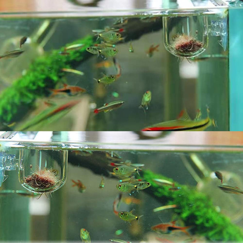 ZhanshuidefaQ 2 Pcs Red Worm Feeder Acrylic Fish Tank Plant Shrimp Feeder Bowl Floating Bloodworm Water Food Dish Fish Feeding Cup with Suction Transparent Fish Feeding Cup Tank for Aquarium Reptiles - PawsPlanet Australia