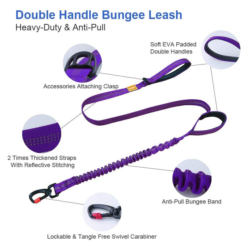 [Australia] - AdventureMore Dog Harness Leash Set, Step-in Escape Proof Reflective Dog Vest, No-Pull Adjustable Halter and Lead, with 5 ft Anti-Pull Dual-Handle Bungee Training Leash M/Chest girth 19-24 in Purple 